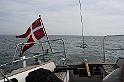 Sejltur 005